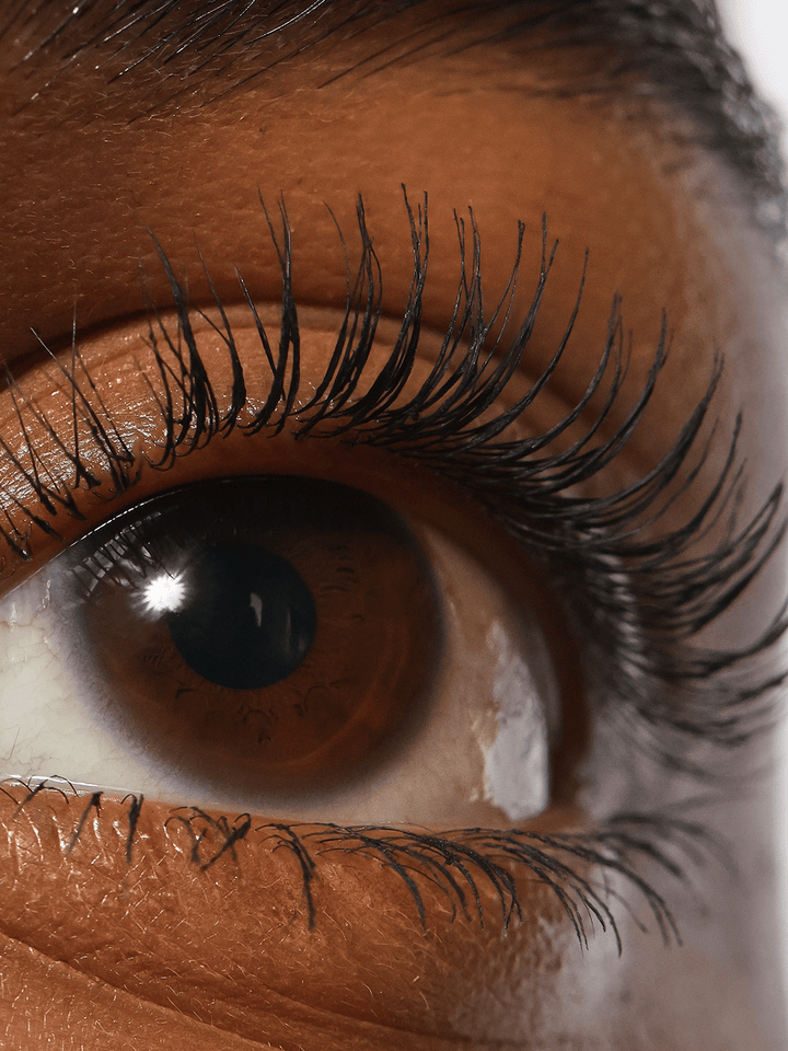 Refy Lash Sculpt - מסקרה ריפיי - החנות שמוכרת את מוצרי ספורה בארץ