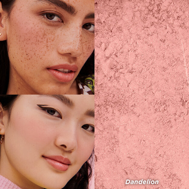 Benefit Cosmetics Dandelion Blush Pretty Pink Pair  - סט סמקים בנפיט